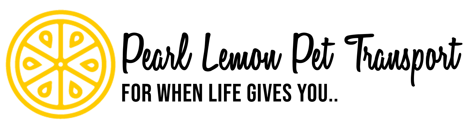 Pearl lemon Pet Transport