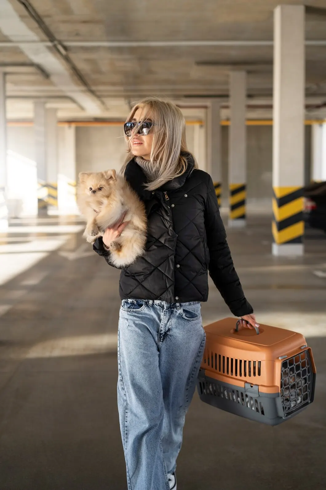 Pet Transport From UK