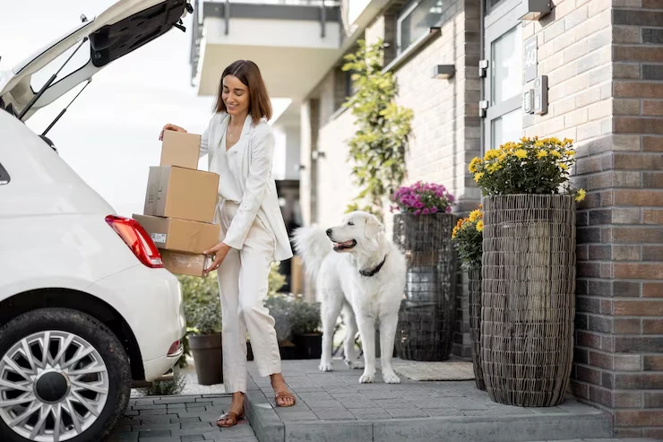 Door-to-Door Pet Transport in the UK