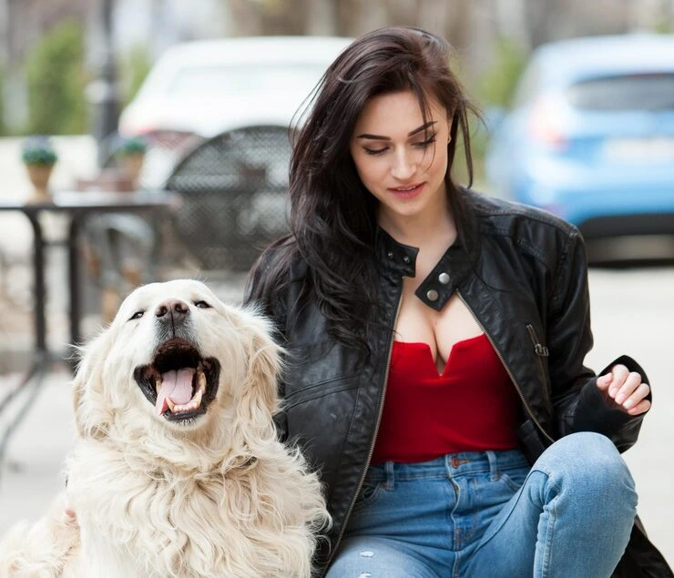 RARE BREED DOG RELOCATION SERVICES