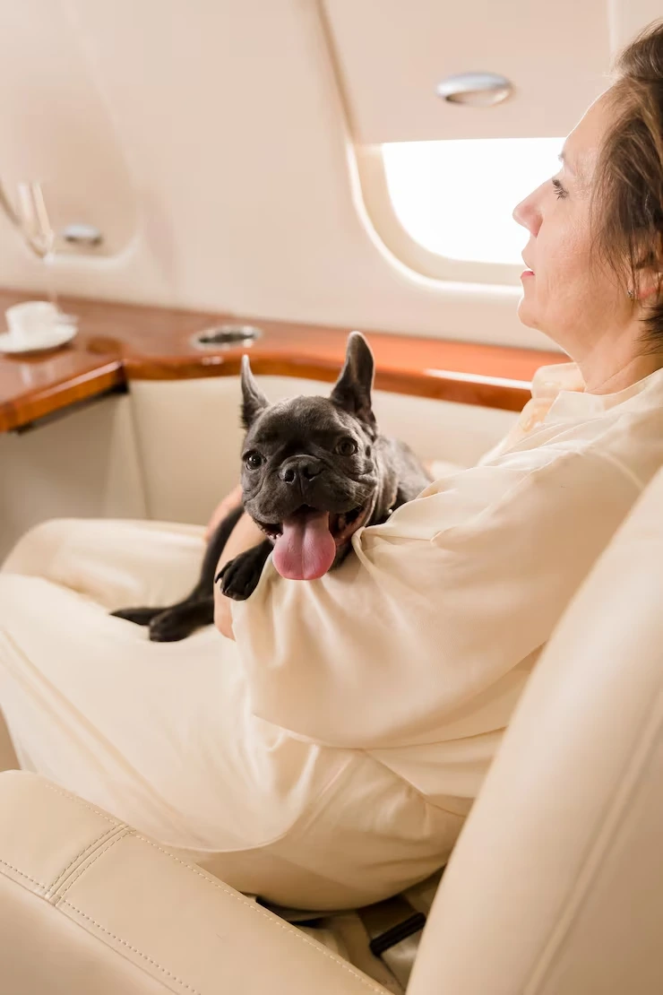 UK to France Private Jet Pet Transport for Elite Comfort and Safety