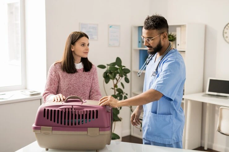 Veterinary Travel Support Services in the UK