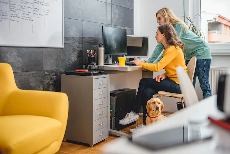 Corporate Pet Relocation Services in the UK