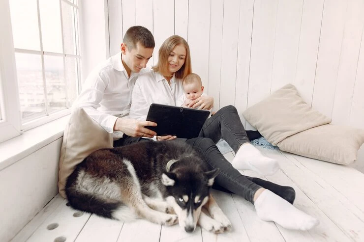 Family-Focused Pet Relocation Management