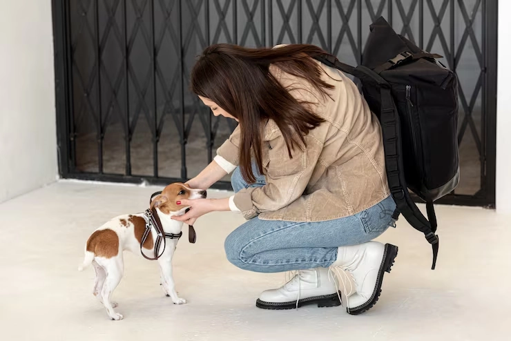 Ground Transport And Secure Collection Across The UK And Europe