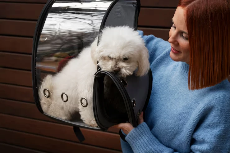 LUXURY CAT TRANSPORT SERVICES