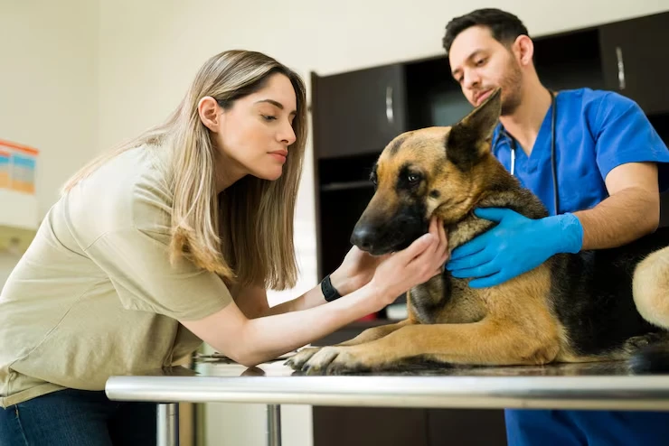 Pet Veterinary Coordination and Health Assurance