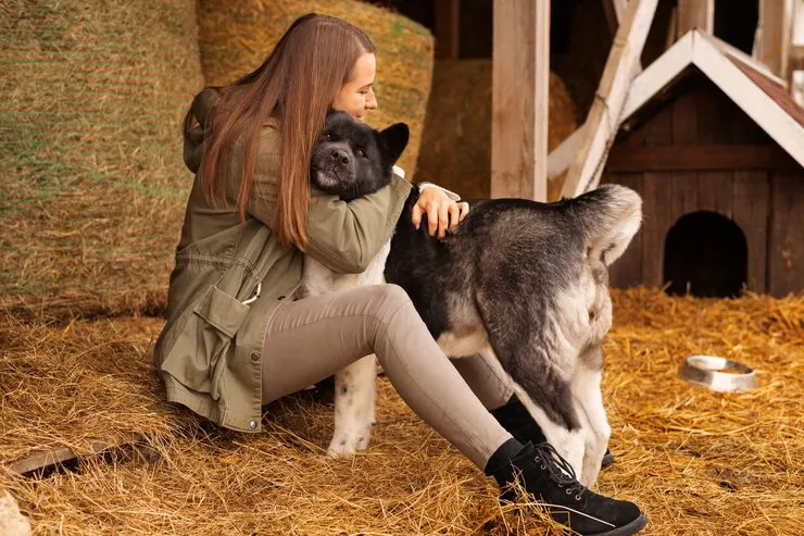 Private Collector and Sanctuary Relocation