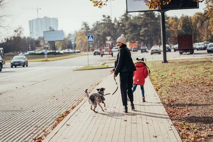 Private Terminal And Airport Coordination