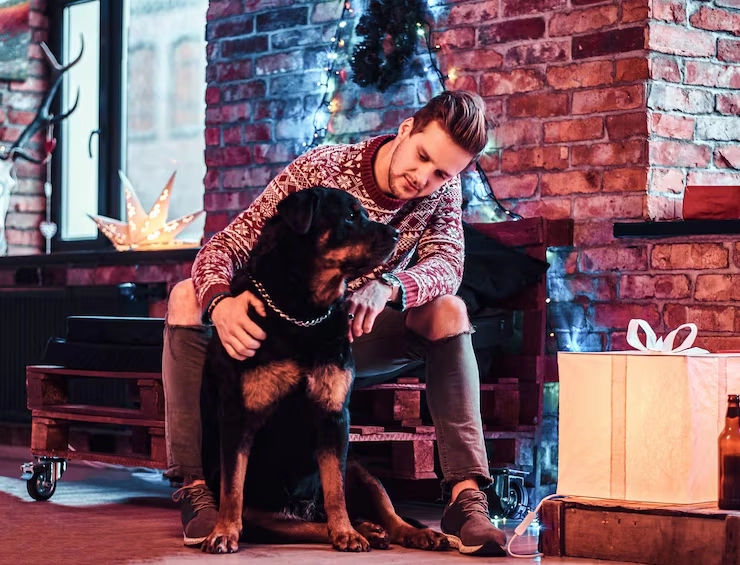 Rare Breed Dog Relocation Planning And Journey Design