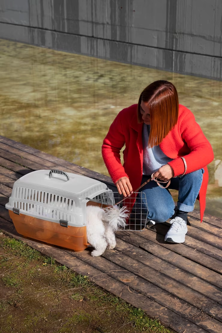 Veterinary Documentation And Rare Breed Compliance Management