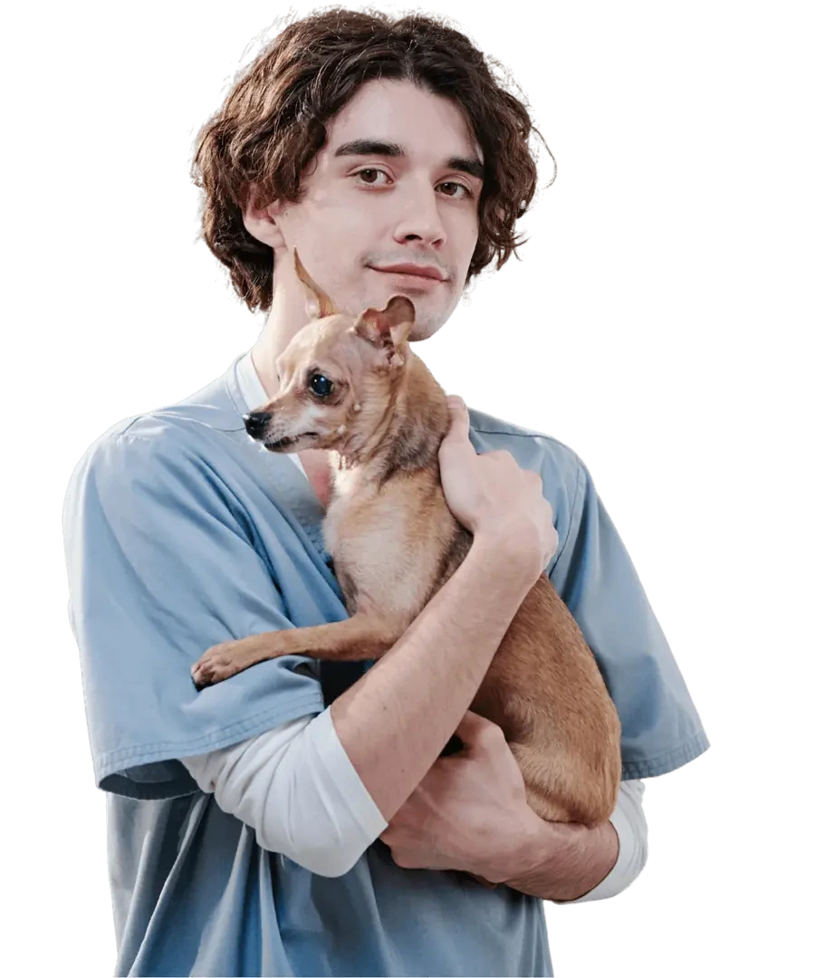 About Pearl Lemon Pets Transport Professional Company