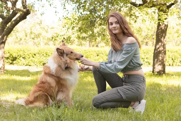 Air Pet Transport for Denmark Relocations