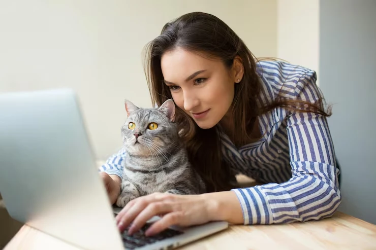 Airline-Approved Cat Travel Planning