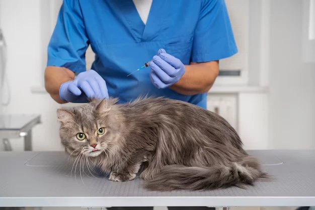 Appointment Scheduling and Veterinary Coordination Across the UK