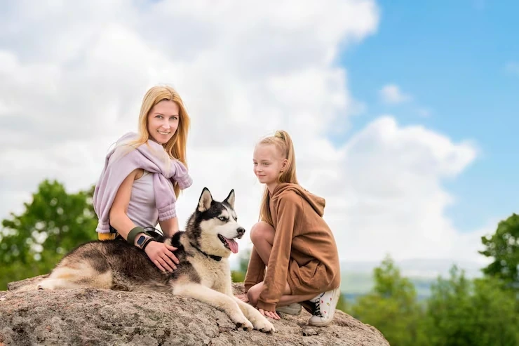 Breeder and Kennel Transport Services
