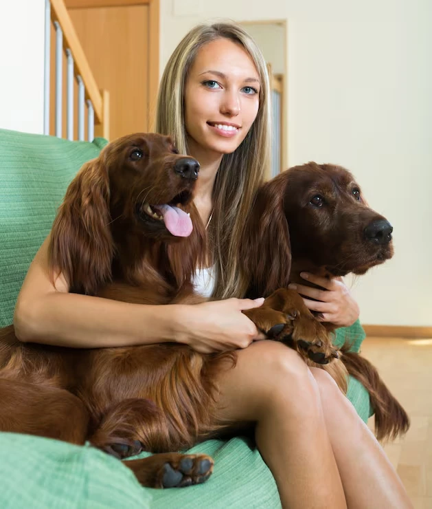 Breeder and Multi-Dog Transport Coordination