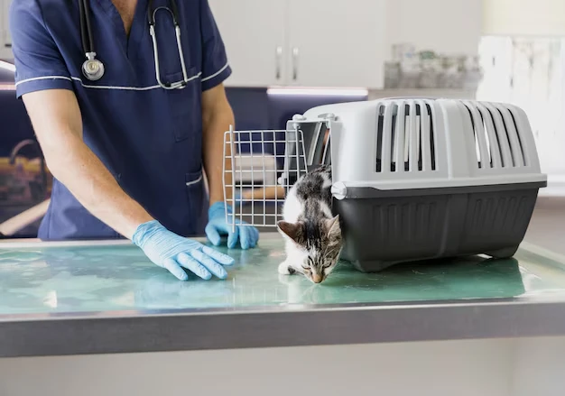 Cat Carrier and Travel Crate Compliance