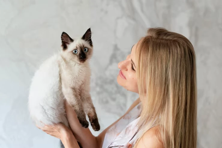 Cat Relocation Services From the UK to Finland