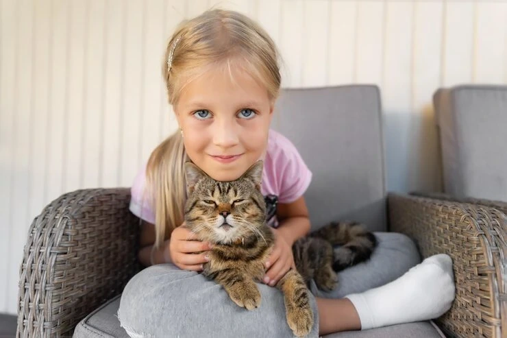 Cat Relocation Services From the UK to the Netherlands