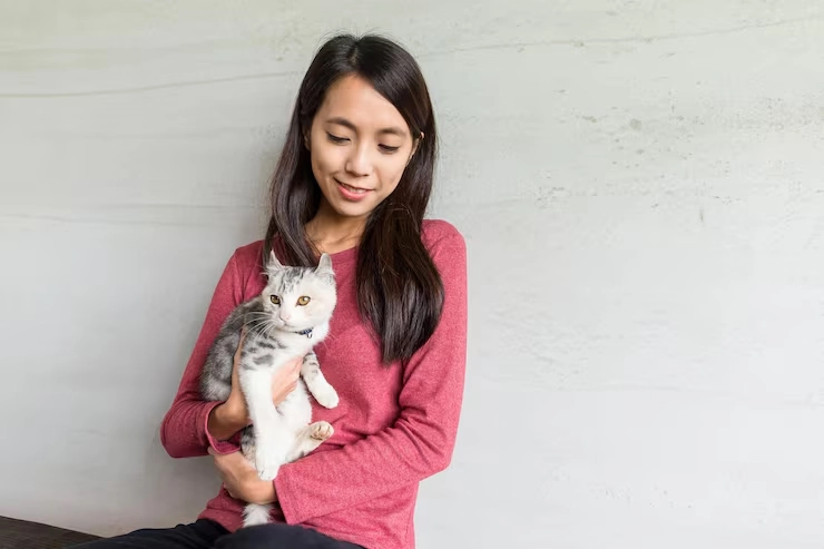 Cat Travel Crate Guidance and Preparation​