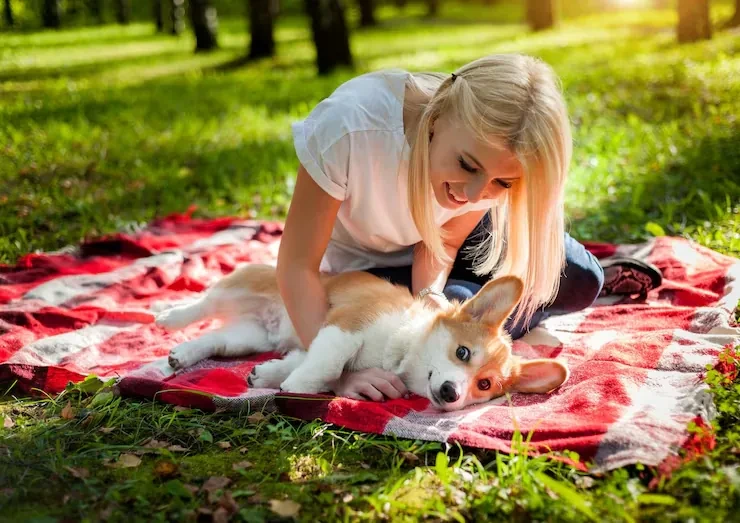 DEFRA and Pet Travel Documentation Management
