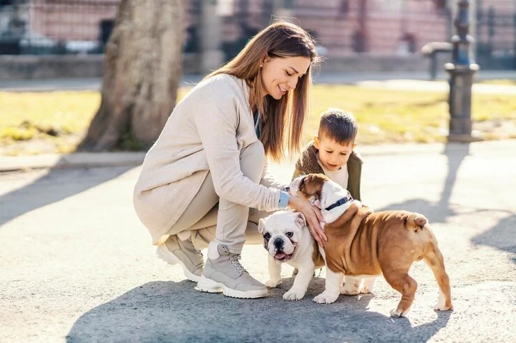 Dog Transport Services From the UK to Greece