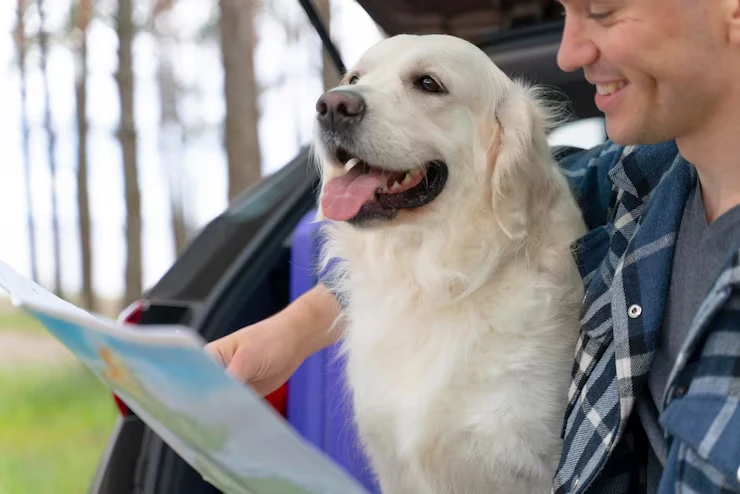 Dog Transport Services From the UK to Finlands