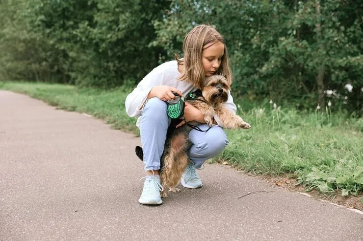 Dog Transport Services From the UK to Norway
