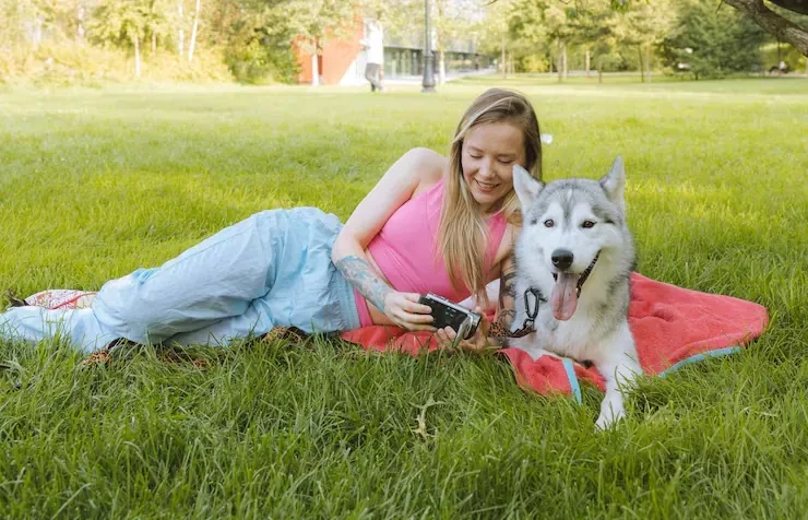Dog Transport Services From the UK to the Netherlands