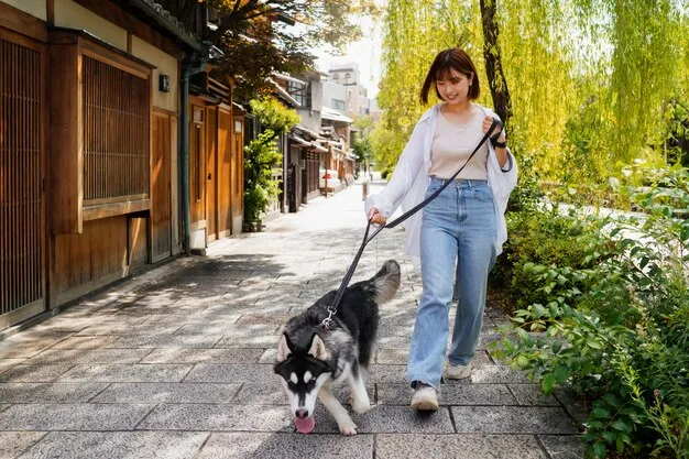 Door to Door Pet Concierge Transport Across the UK