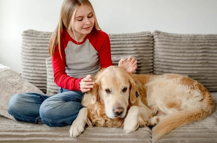 Door-to-Door Pet Transport Coordination