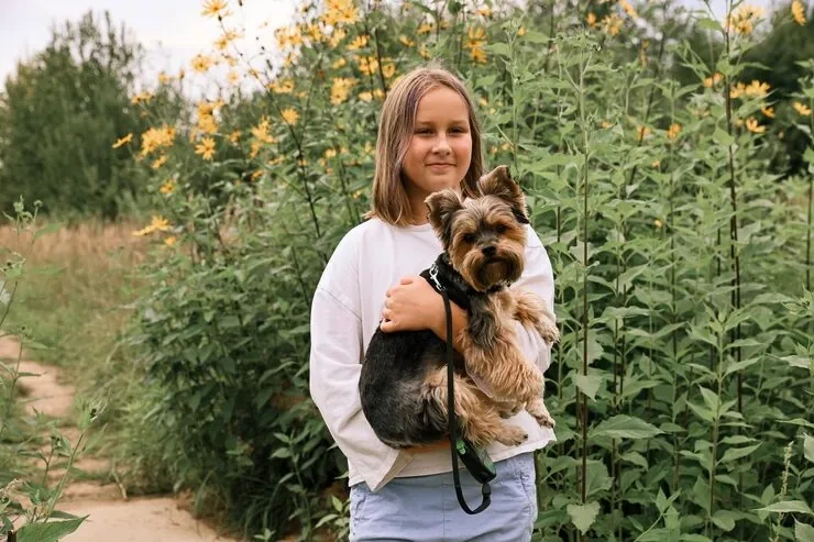 Emergency Dog Relocation Scheduling