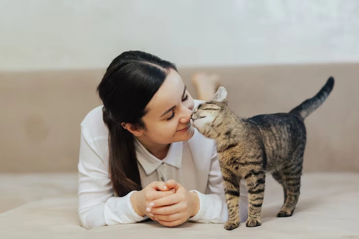 Emergency and Short-Notice Cat Relocation