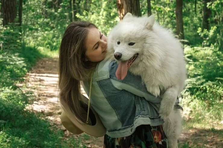 Emergency and Short-Notice Dog Relocation