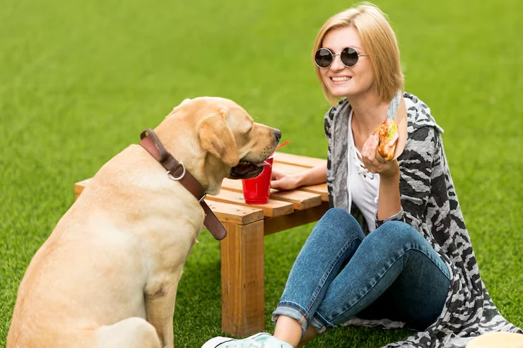 Event and Travel Day Pet Management
