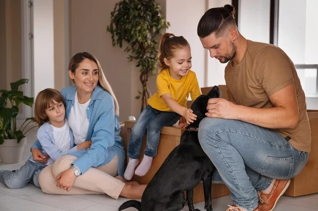 Executive Family Pet Relocation Services UK