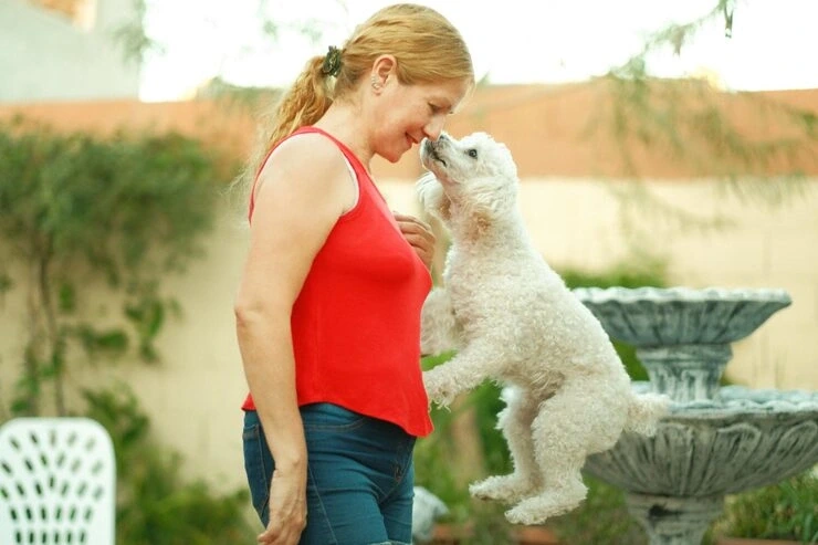 Executive and VIP Pet Aviation Coordination