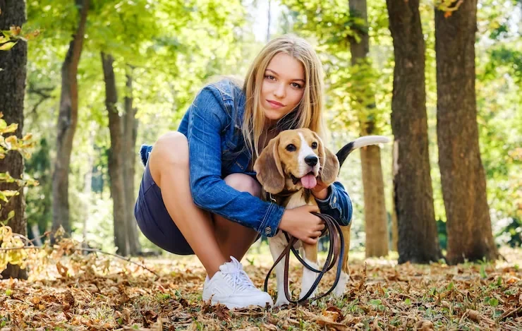 Exotic Pet Relocation Services From the UK to the Netherlands