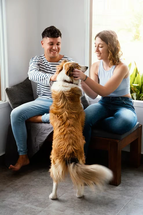 Family Relocation Planning and Pet Coordination Across the UK