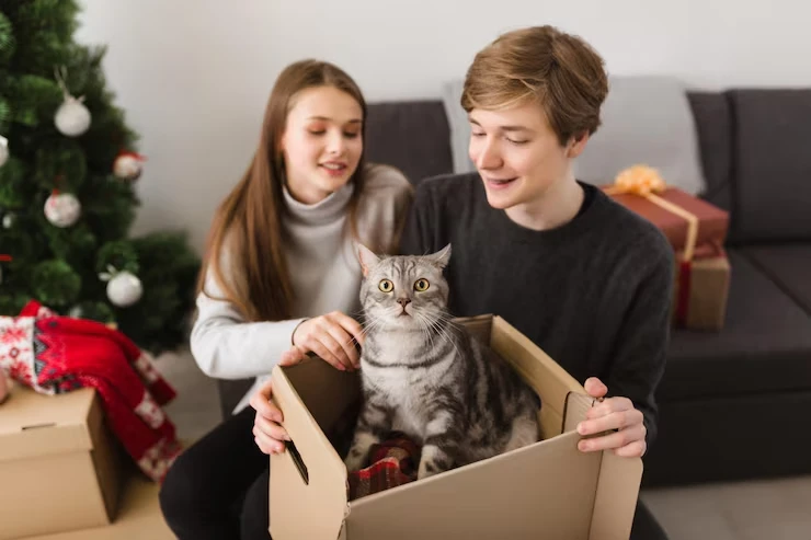 Family Relocation and Long-Term Residency Moves