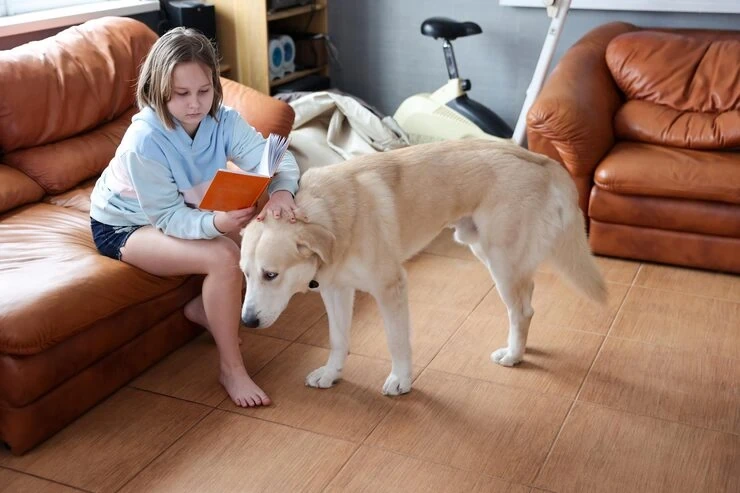 High-Value and Confidential Pet Relocation