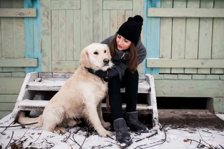 In-Cabin Pet Travel Planningy