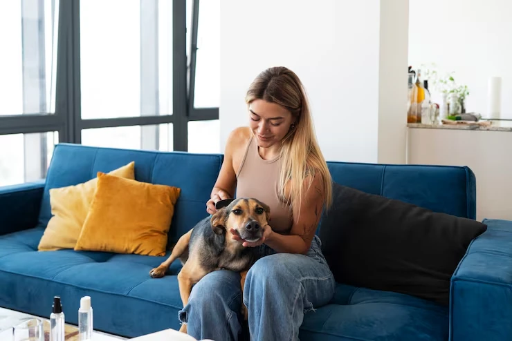 In Home Pet Care and Supervision Across the UK