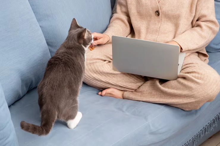 Industry Statistics That Matter for pedgree cat