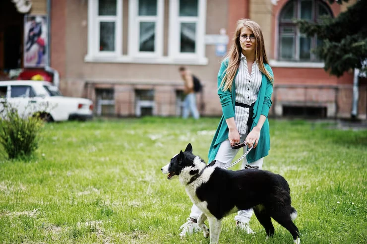 Industry Statistics That Matter for pets transportation