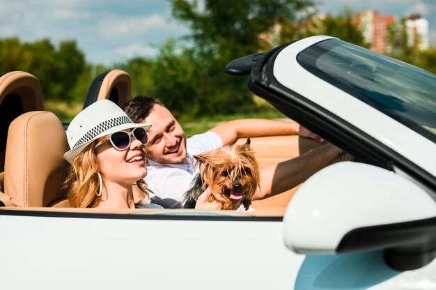 International Corporate Pet Relocation from the UK