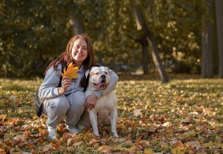 Large Breed and Specialist Animal Transport