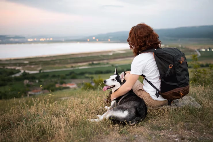 Long Distance and International Dog Transport