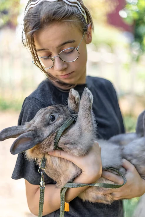 Long Distance and International Exotic Mammal Transport